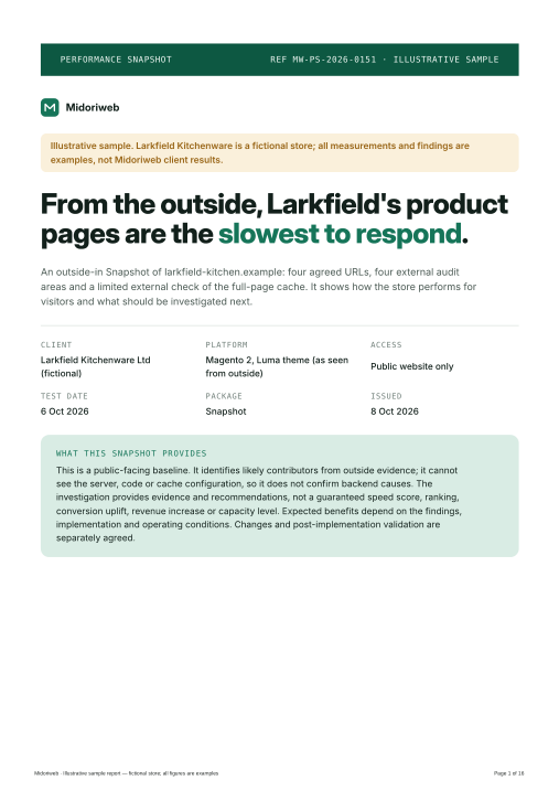 Cover of the supplied fictional Snapshot sample report